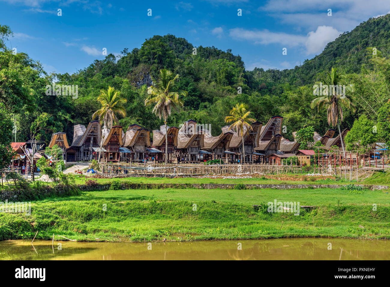 Tradicional pueblo toraja, Rantepao, Tana Toraja, Sulawesi, Indonesia Foto de stock
