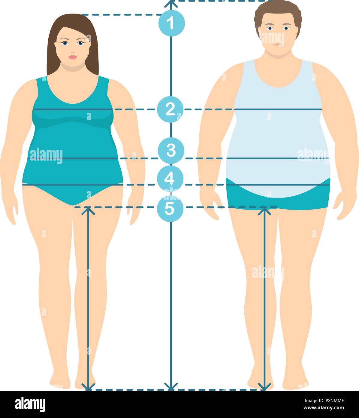 Estilo plano illistration de sobrepeso al hombre y a la mujer en toda su longitud con líneas de medición de parámetros del cuerpo . Hombre y mujer ropa plus medir Imagen
