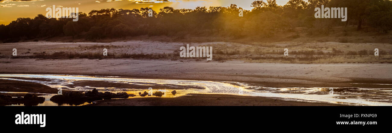 Atardecer en el río Letaba paisaje en el Parque Nacional Kruger, Sudáfrica Foto de stock