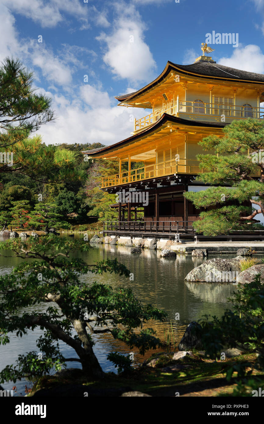 Kinkaku-ji, el Templo del Pabellón de Oro, brillando en la luz del sol de otoño en medio de un estanque de jardín. Oficialmente conocida como Rokuon-ji, templo Budista Zen en Kyot Foto de stock