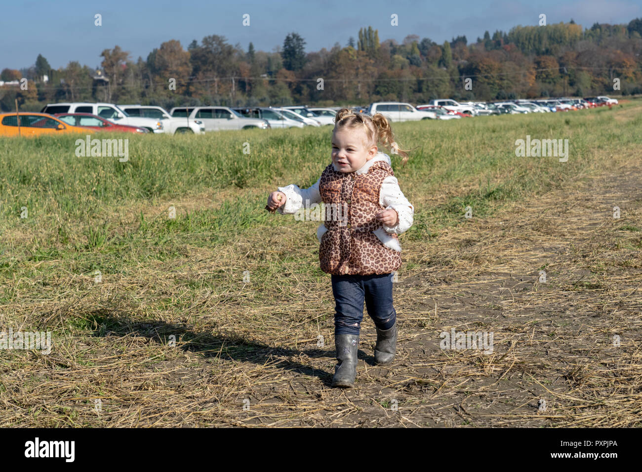 Niña de 23 meses de ejecución en el Pumpkin Patch. Foto de stock