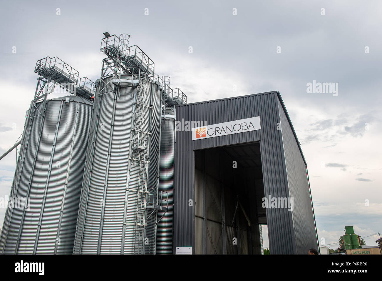 Vista exterior del elevador de grano que está diseñado para almacenar grano en silos metálicos, Zwoleń, Masovian voivodato, Polonia Foto de stock