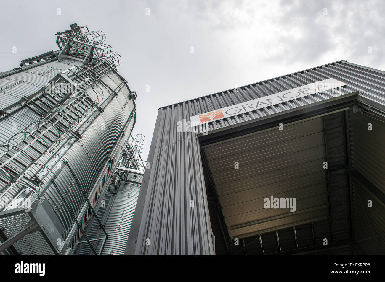 Mirando hacia arriba a un elevador de granos que está diseñado para almacenar grano en silos metálicos, Zwoleń, Masovian voivodato, Polonia Foto de stock
