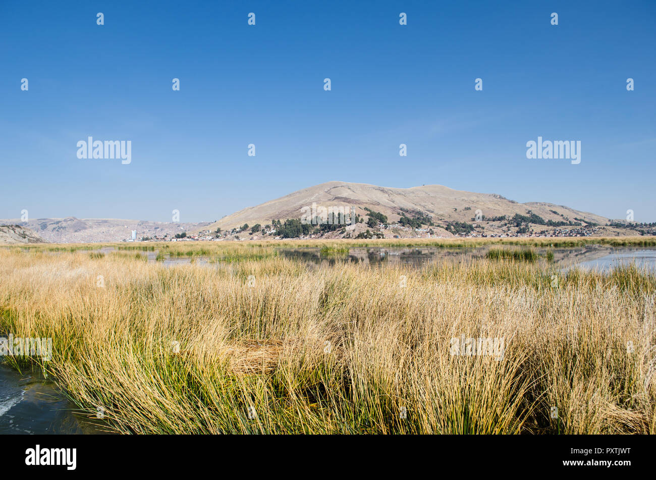 Paisaje típico del lago Titicaca durante la temporada de verano. Foto de stock