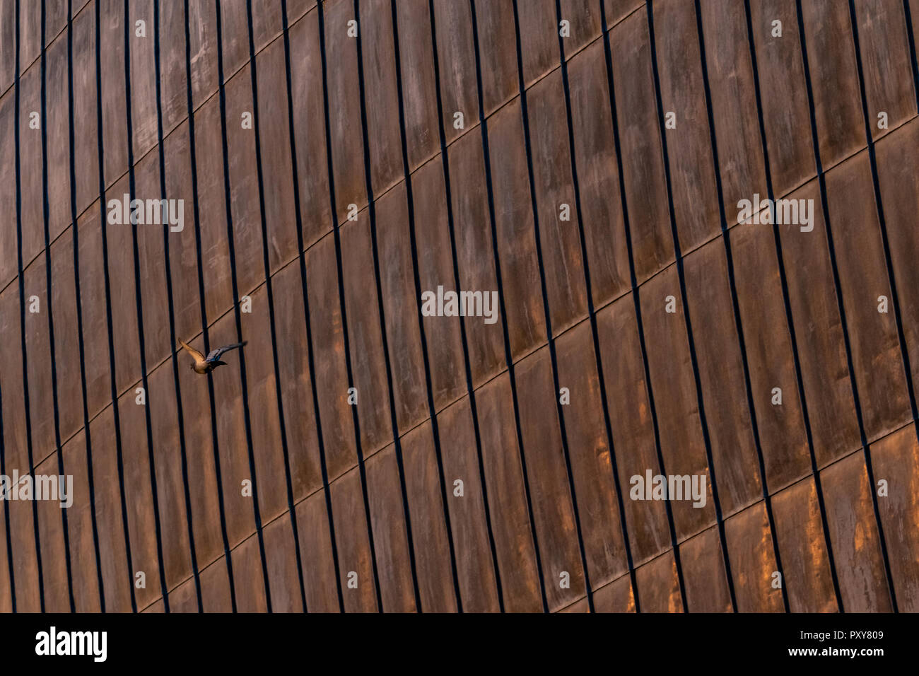 Detalles estructurales de acero oxidado de hojas, utilizado para la impermeabilización externa en la superficie de diseño de la arquitectura orgánica. Superficie con trazas de zinc. Foto de stock