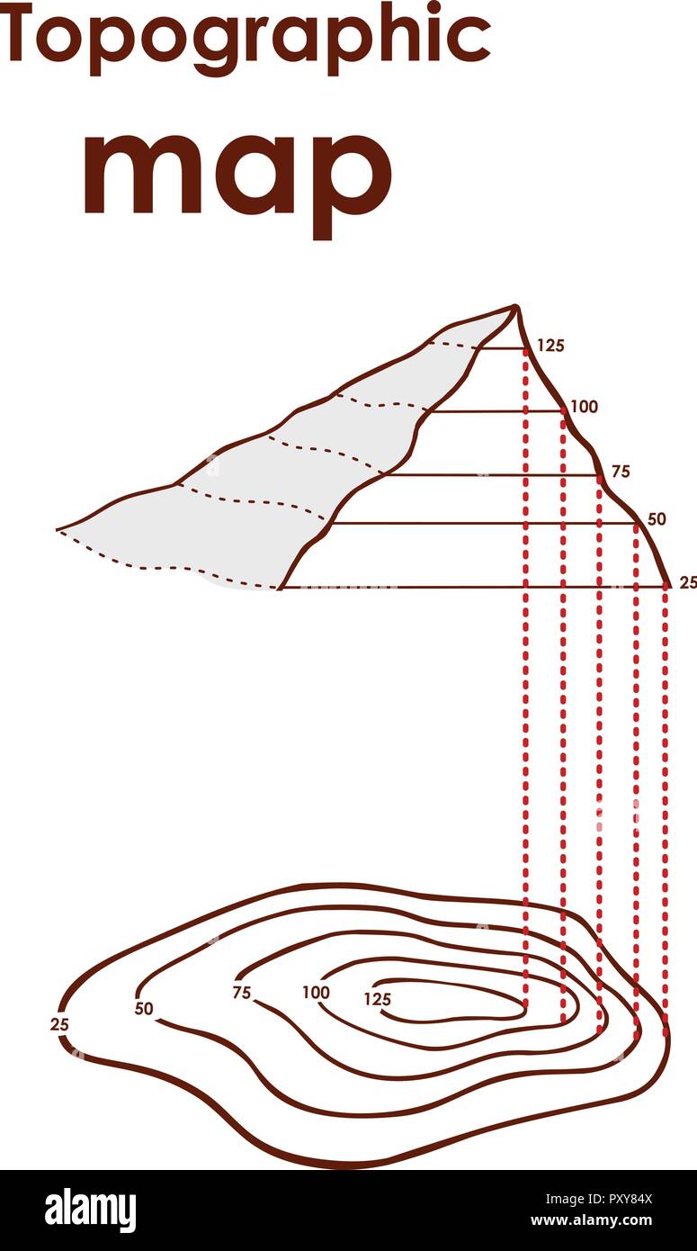 Mapa topográfico de la localidad, ilustración vectorial Ilustración del Vector