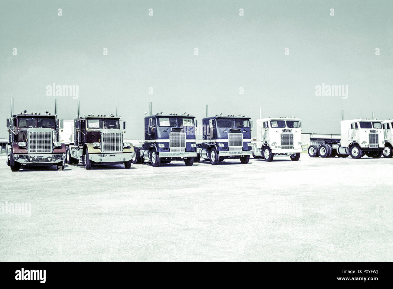 Camiones auf Parkplatz Foto de stock