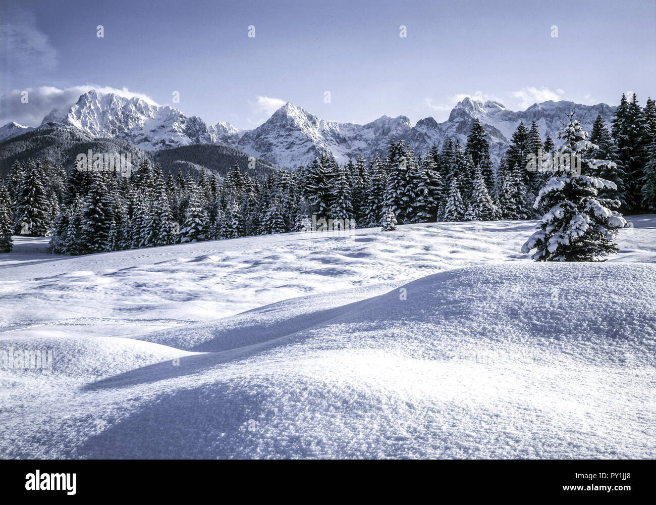 Winterlandschaft, verschneite Baeume, Karwendelgebirge, Bayern Foto de stock