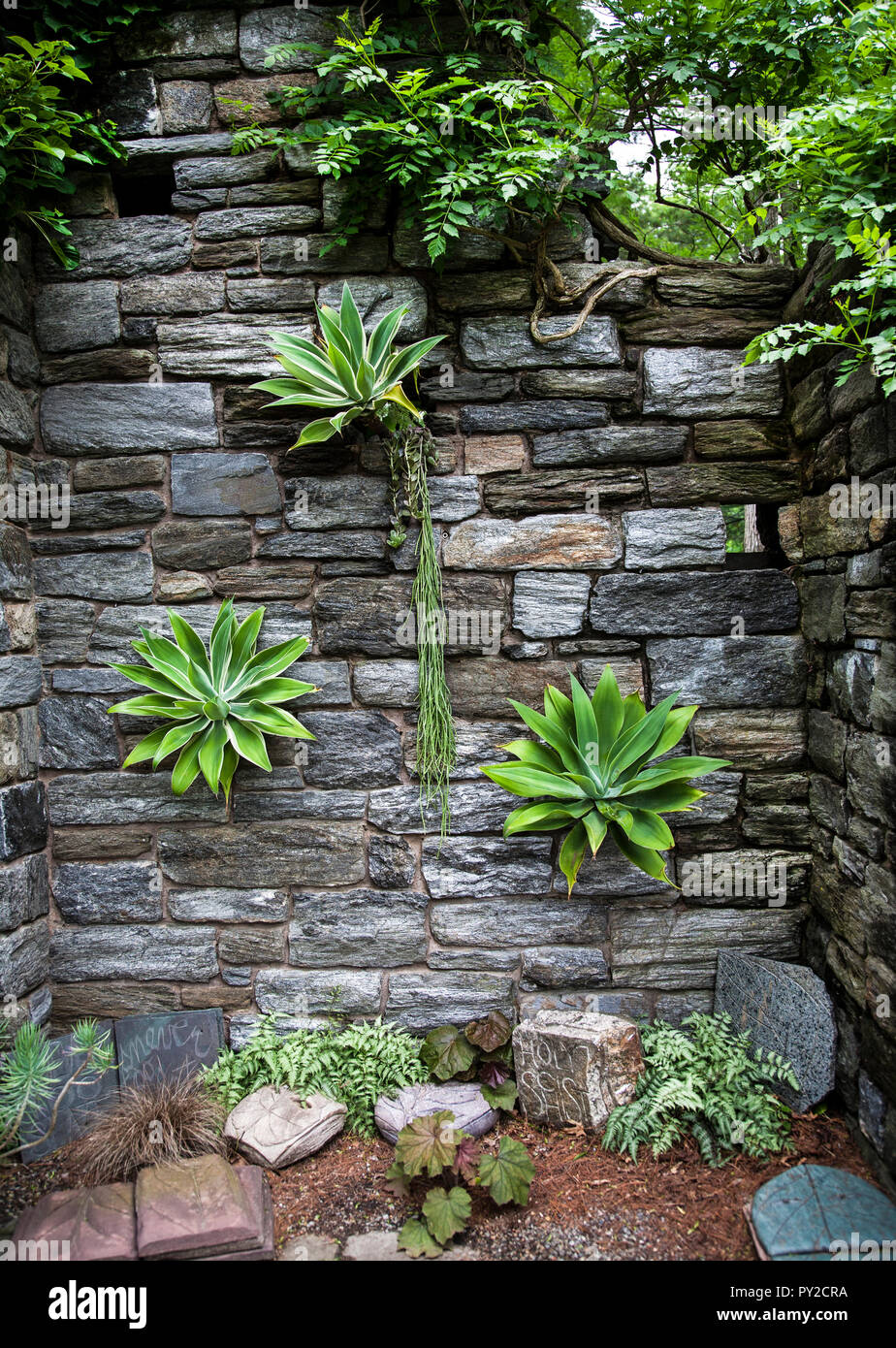 Pared De Piedra Con Plantas Jardines Chanticleer Wayne Pennsylvania Ee Uu Jardines Formales Plantacion Geometrica De Imagenes De Pa Botanicas Fotografia De Stock Alamy