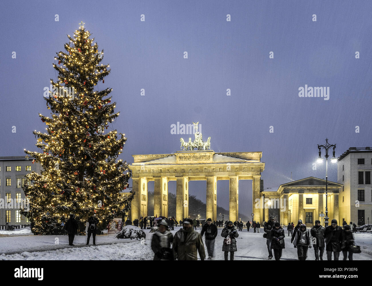Weihnachtsbaum, Brandenburger Tor, Berlín, Alemania Foto de stock