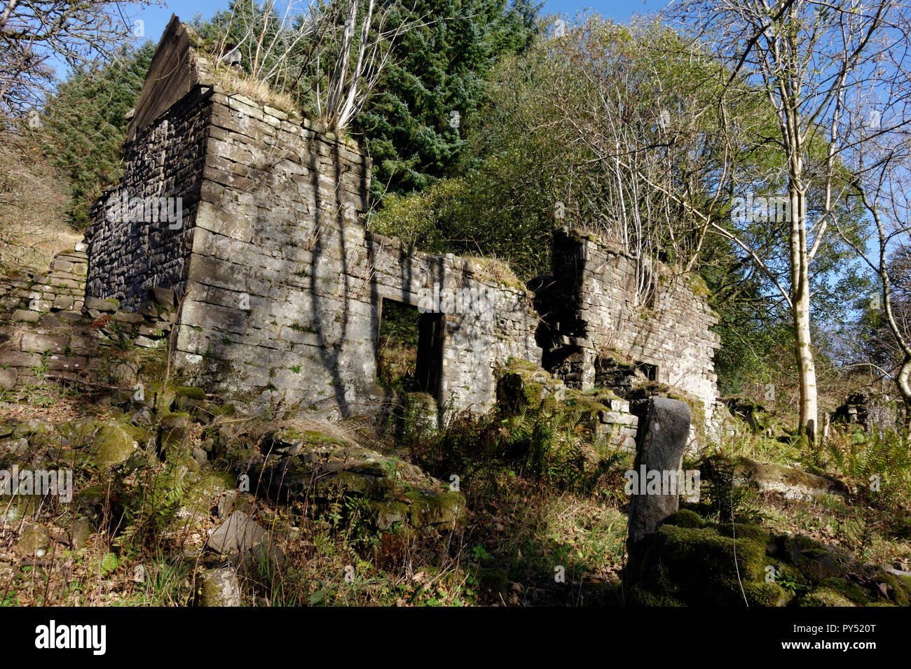 Abandonado cerca de la granja de Pontsticill Blaen callan, el Parque Nacional de Brecon Beacons, Powys, Gales. Foto de stock