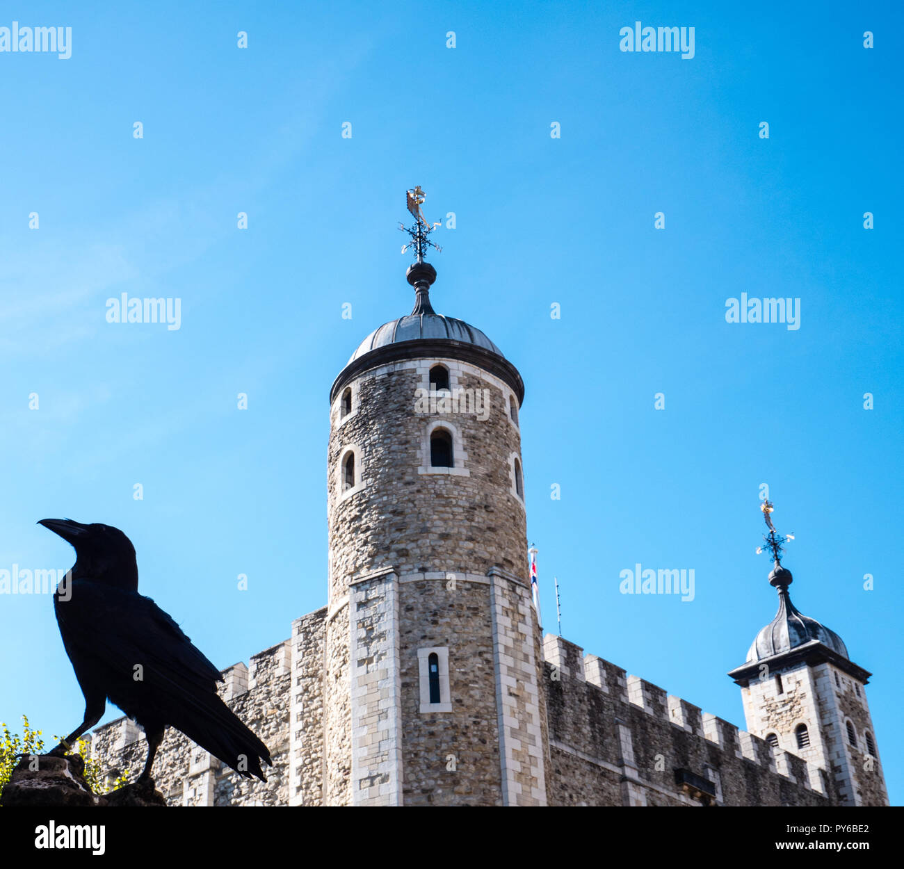 Los cuervos de la Torre de Londres, (no debe salir o torre caerá}La Torre de Londres, Londres, Inglaterra, Reino Unido, GB. Foto de stock