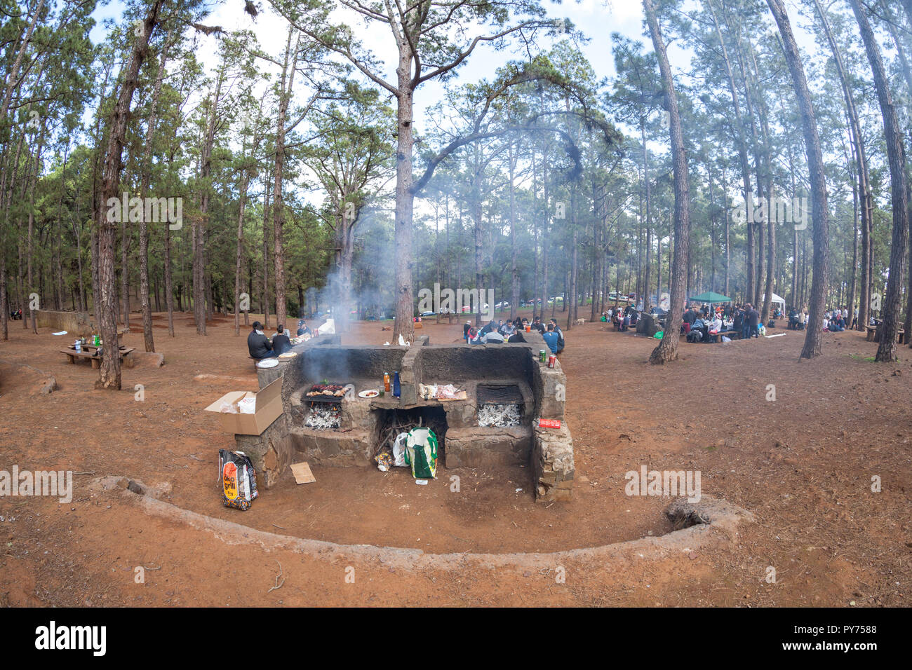 Área recreativa de las raíces en Tenerife, Islas Canarias, España  Fotografía de stock - Alamy