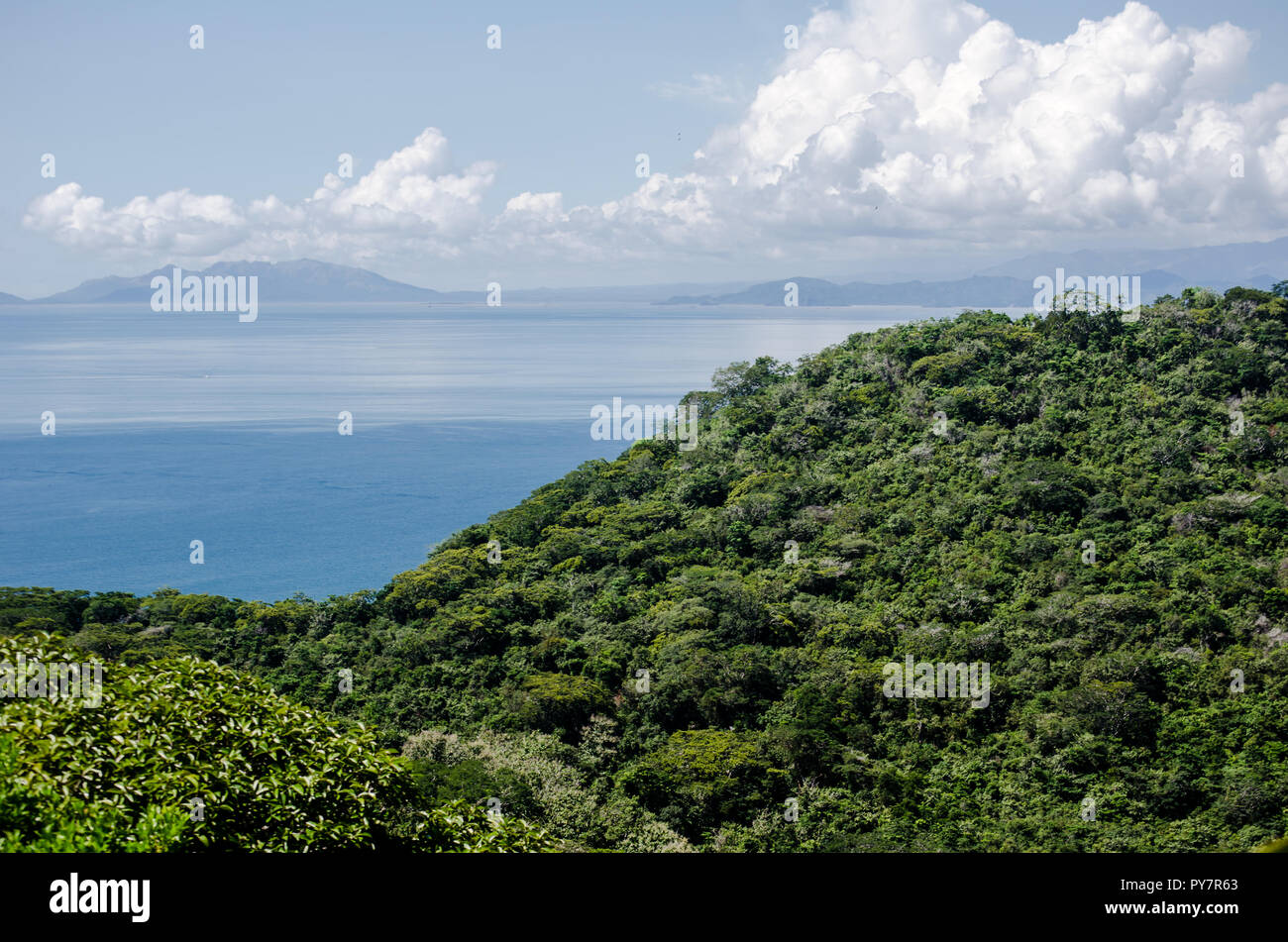 Bosque seco Tropical del Refugio de Vida Silvestre de Taboga y Urabá Islas, cría hogar de pelícanos y otras aves marinas. Foto de stock