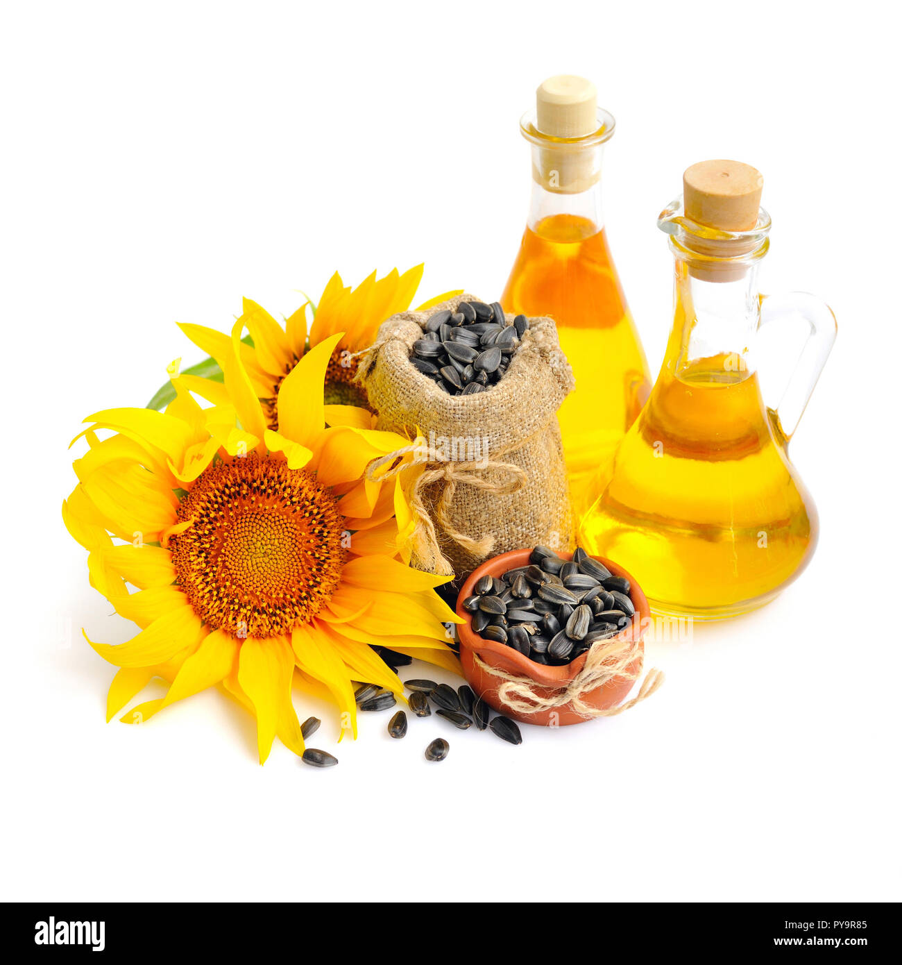 El Aceite De Girasol En Botellas De Plástico Aisladas En Blanco. 3d  Ilustración Fotos, retratos, imágenes y fotografía de archivo libres de  derecho. Image 64134122