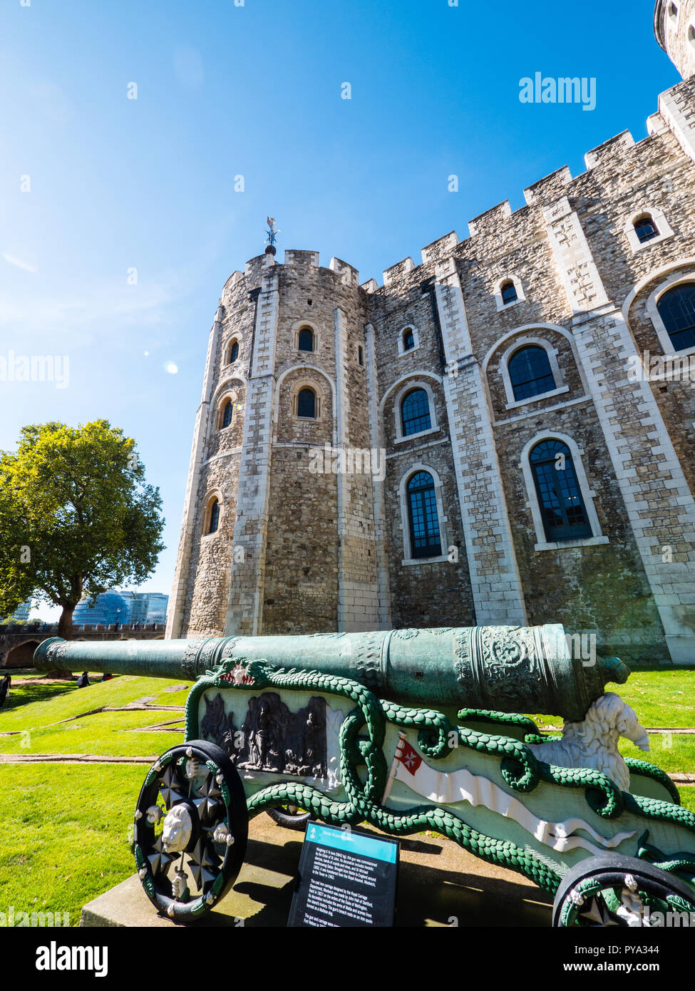 Dragon Cannon, delante de la Torre Blanca, la Torre de Londres, Inglaterra, Reino Unido, GB. Foto de stock