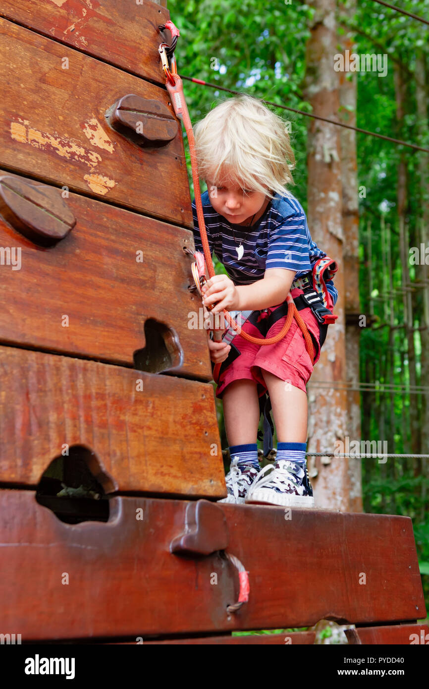 Valiente niña en arnés de seguridad subir alto en árboles y capacitar para  sujetar el mosquetón en la aventura parque de cuerdas. La actividad al aire  libre, un estilo de vida activo
