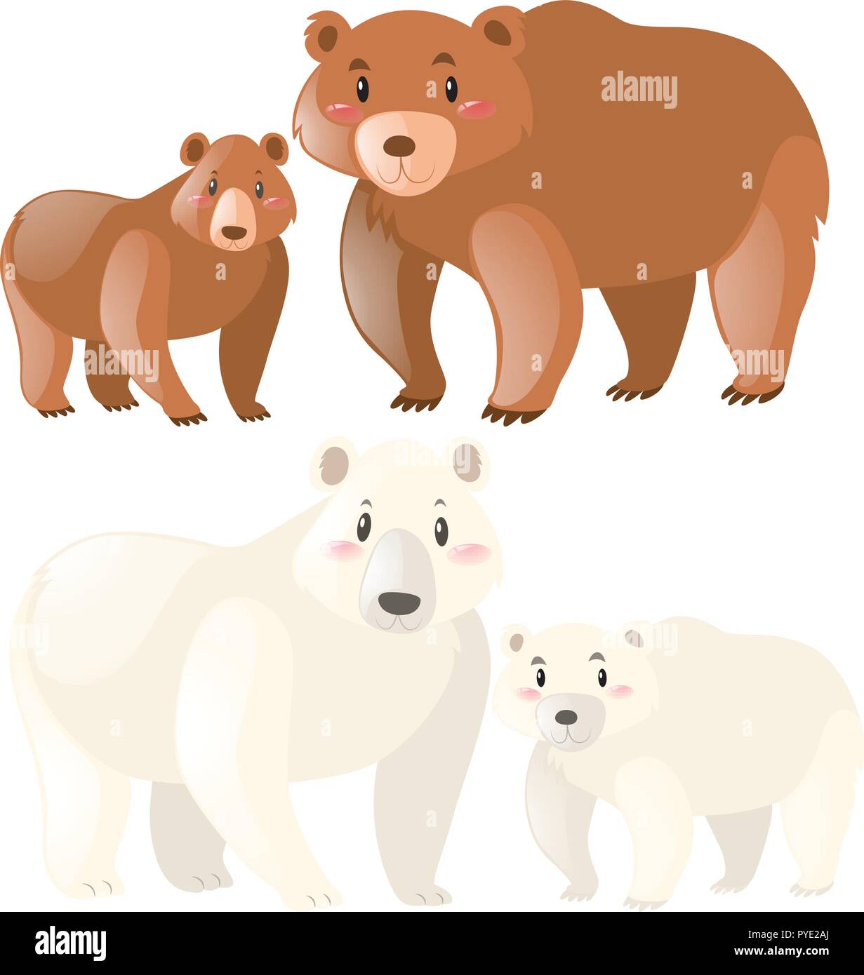 Grizzly y osos polares ilustración Ilustración del Vector