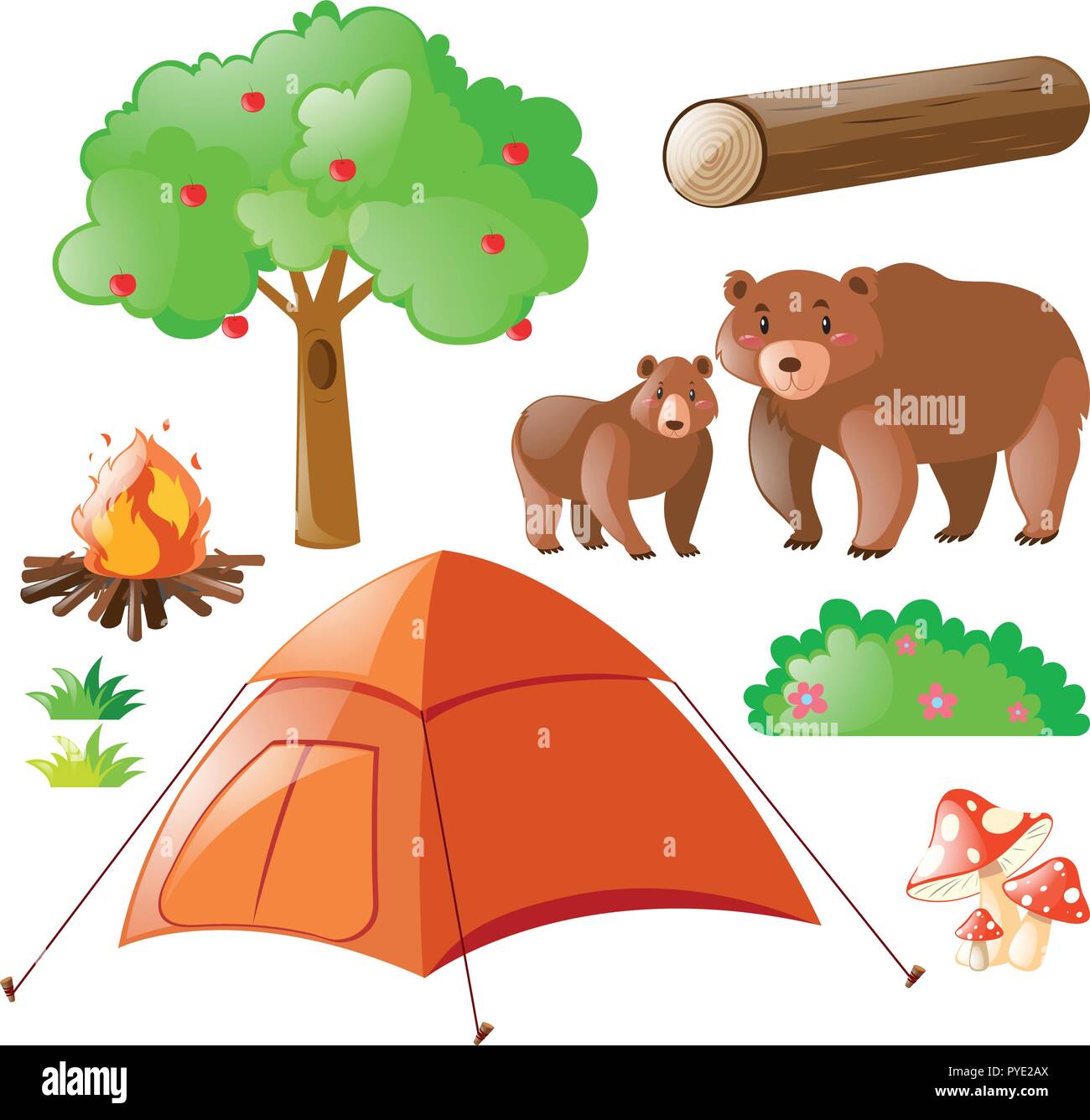 Osos y elementos de camping ilustración Ilustración del Vector