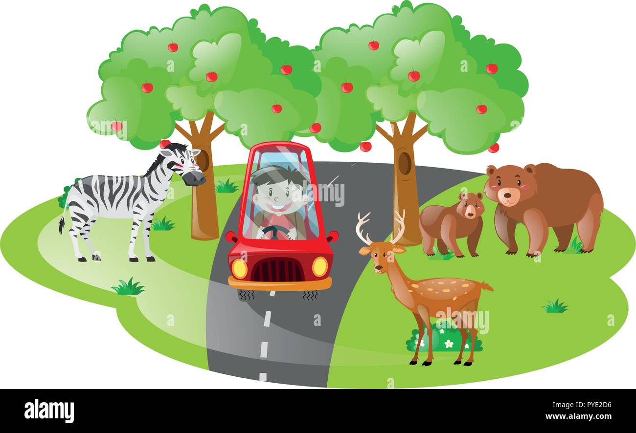 Chico conducir en abrir safari ilustración Ilustración del Vector