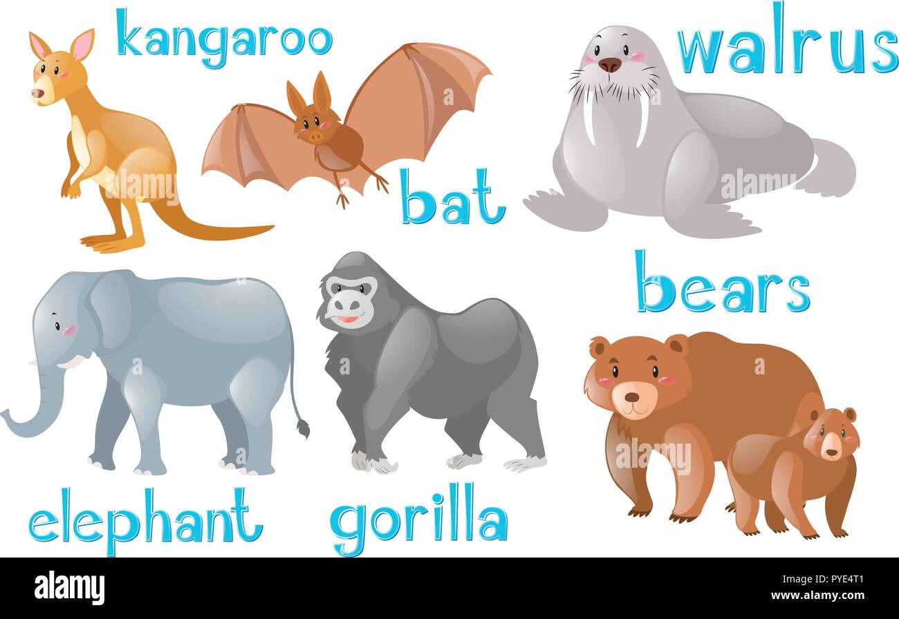 Los diferentes tipos de animales silvestres ilustración Ilustración del Vector