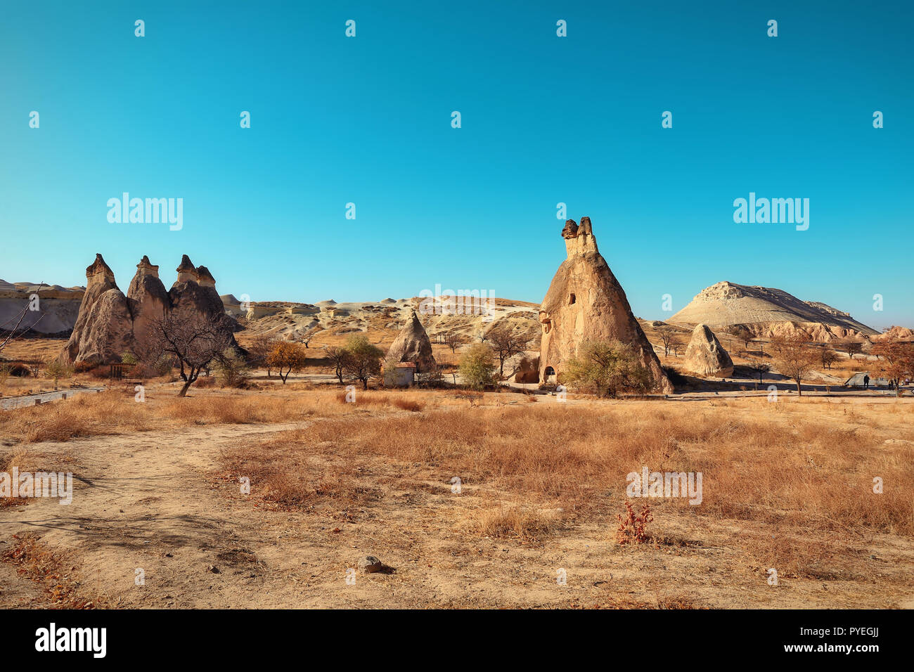 Cappadocia, Turquía. Chimenea de hadas. Multiterminal setas de piedra en el Valle de los monjes. Valle de Pasabag Foto de stock