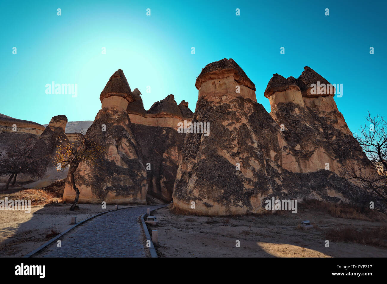 Cappadocia, Turquía. Chimenea de hadas. Multiterminal setas de piedra en el Valle de los monjes. Valle de Pasabag Foto de stock