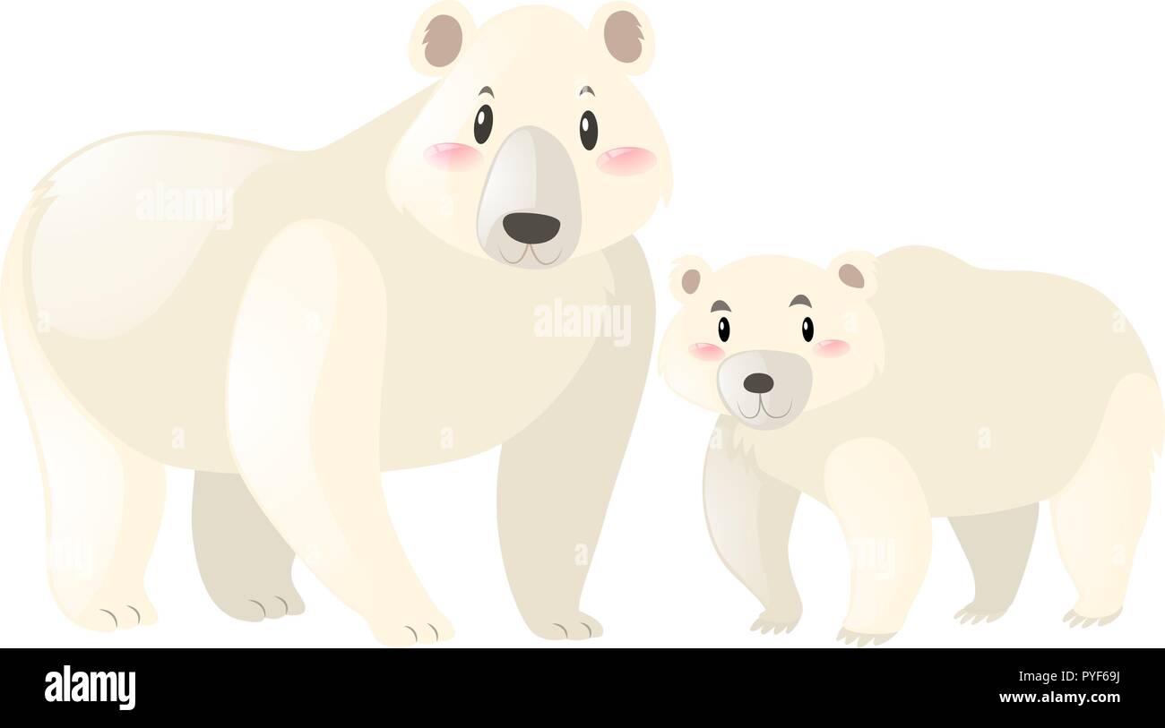 Dos osos polares ilustración sobre fondo blanco. Ilustración del Vector