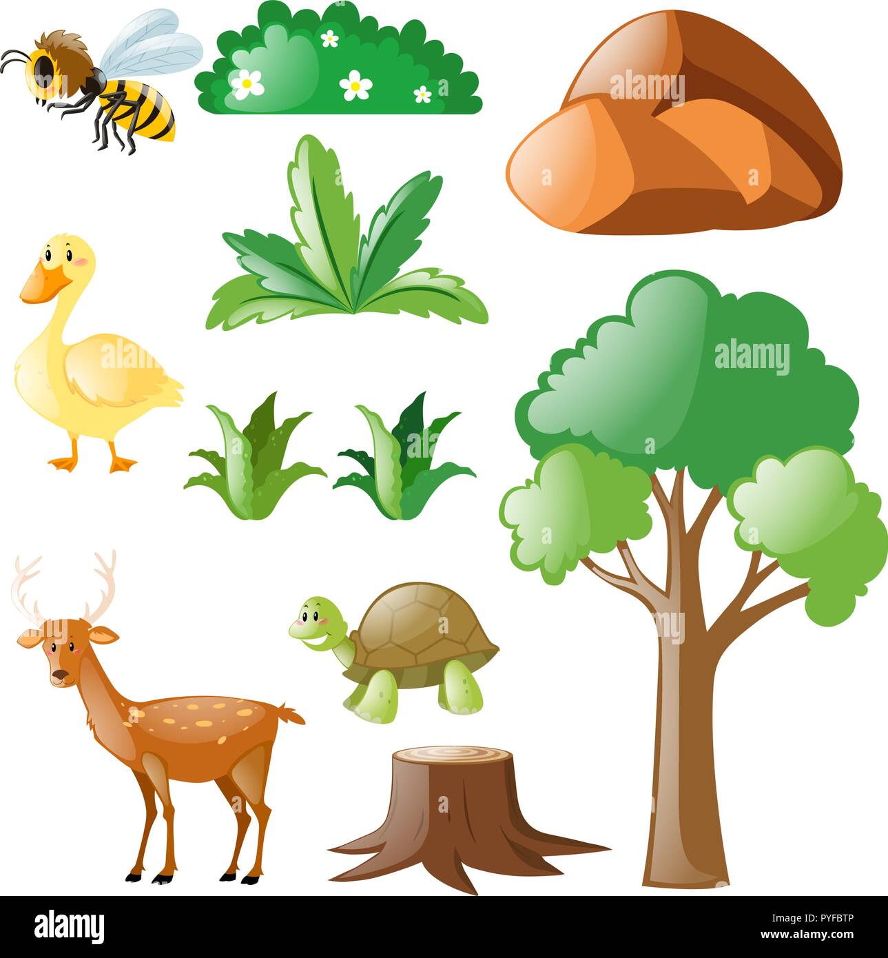 Establecer la naturaleza con animales y plantas, ilustración Imagen Vector  de stock - Alamy