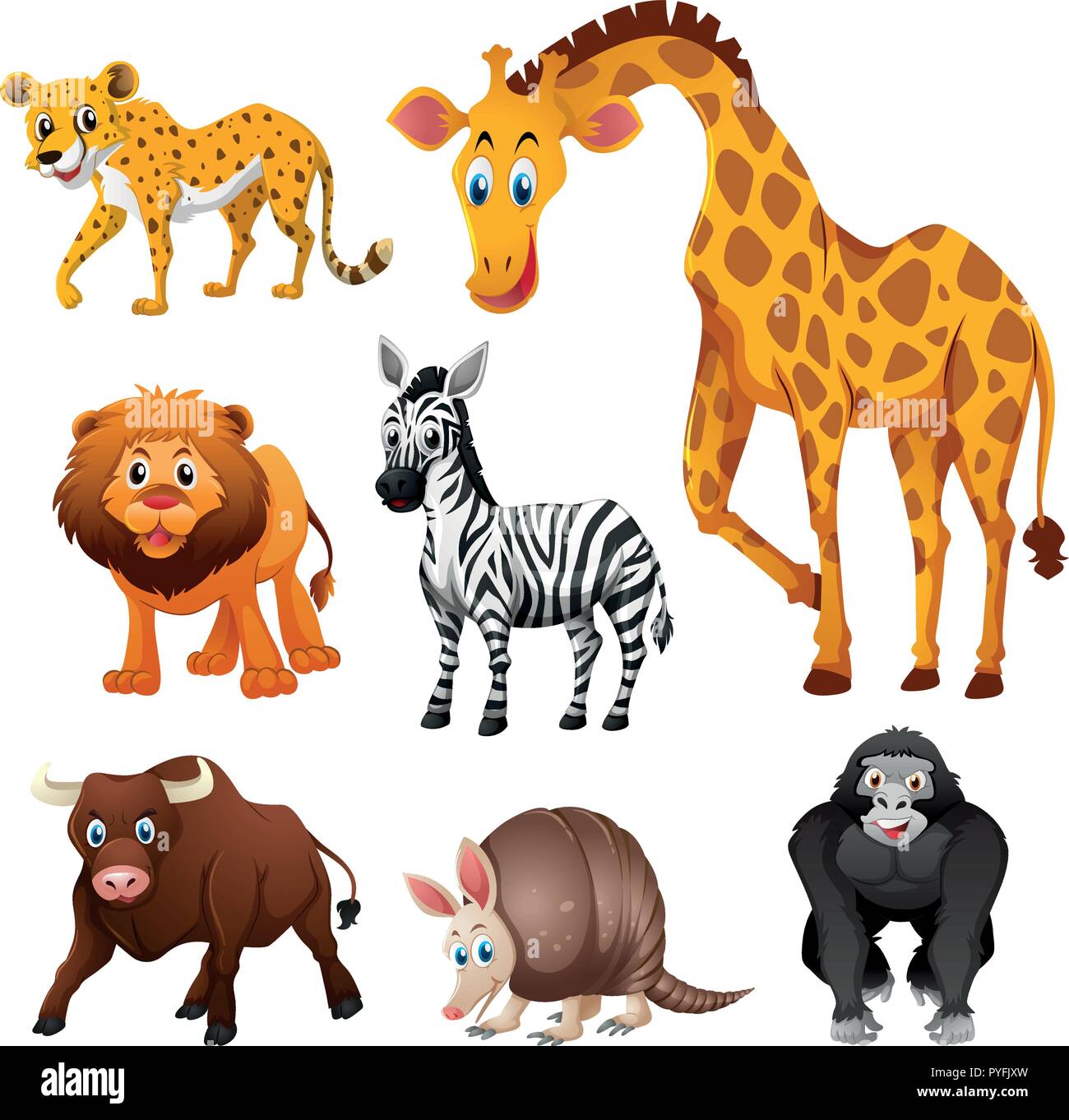 Los diferentes tipos de animales de la selva ilustración Imagen Vector