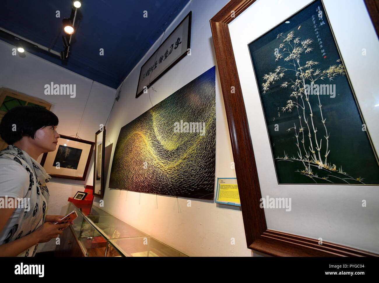 Procesamiento De Huesos Fotos E Imagenes De Stock Alamy