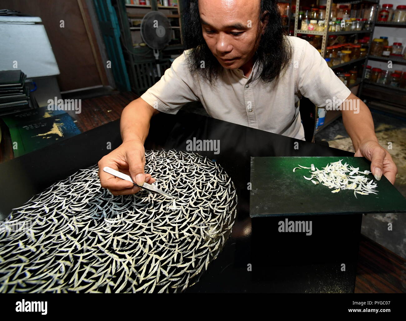 Procesamiento De Huesos Fotos E Imagenes De Stock Alamy