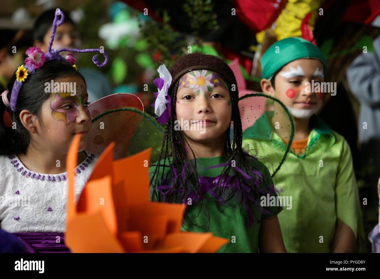 181028) -- Los ríos, el 28 de octubre 2018 (Xinhua) -- Los niños vestidos elfos participar en la octava Huilo Huilo Festival en la localidad de Neltume Panguipulli, Región