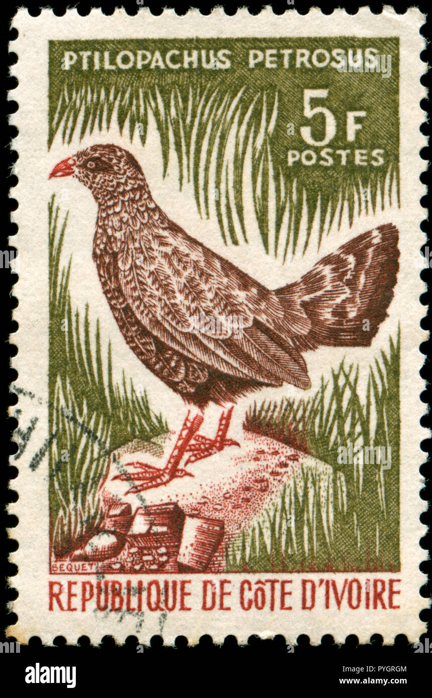 Sello postal de Costa de Marfil en las aves serie publicada en 1966 Foto de stock