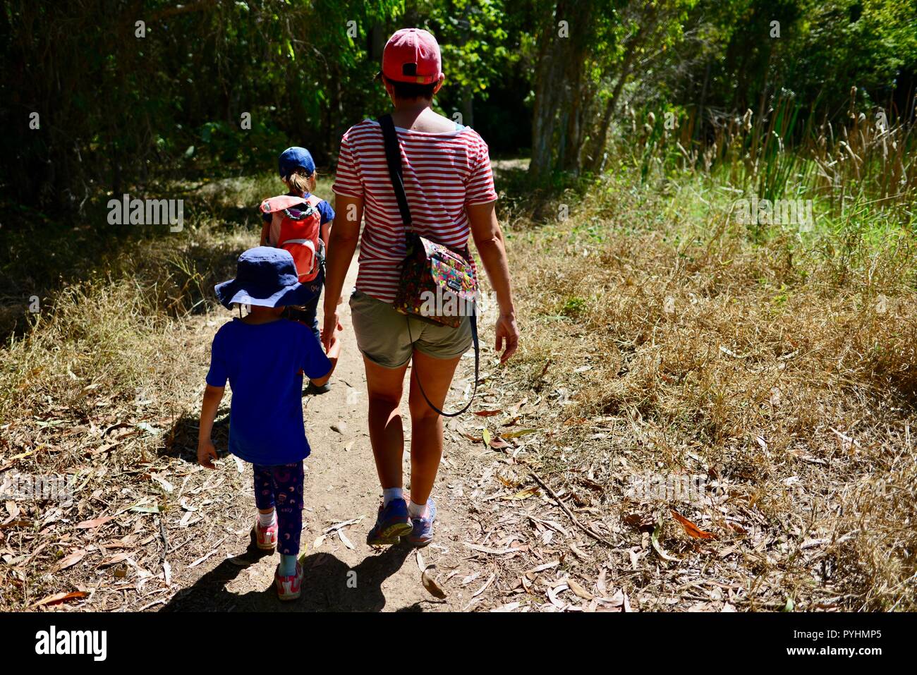 Una madre camina con sus hijos a través de un parque urbano, la zona del río Ross, Townsville, Queensland, Australia Foto de stock
