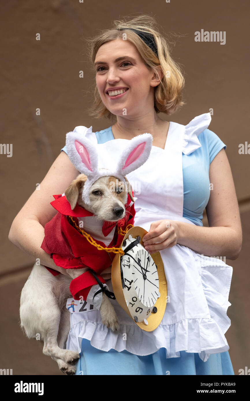 Nueva York, Estados Unidos, 28 de octubre de 2018. Una mujer disfrazada  como Alicia en el país de las maravillas lleva a su perro en un traje de  conejo blanco durante la