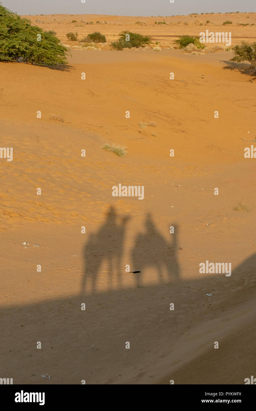 Sombras de jinetes de camellos en Sam, cerca del Desierto de Jaisalmer, Rajasthan, India Foto de stock