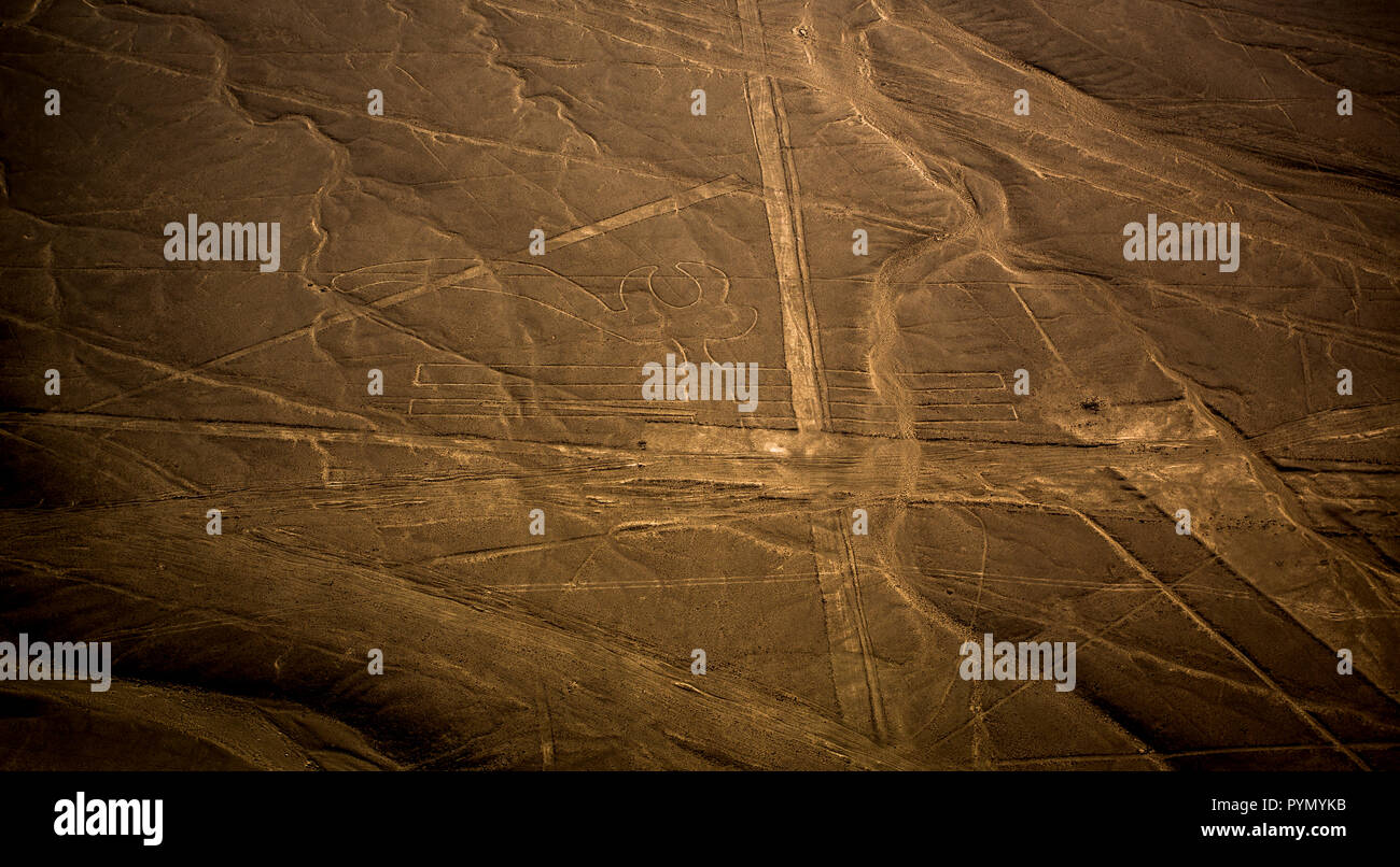 Blick von oben auf die Linien Nazca en Perú, Nazca, Südamerika Foto de stock