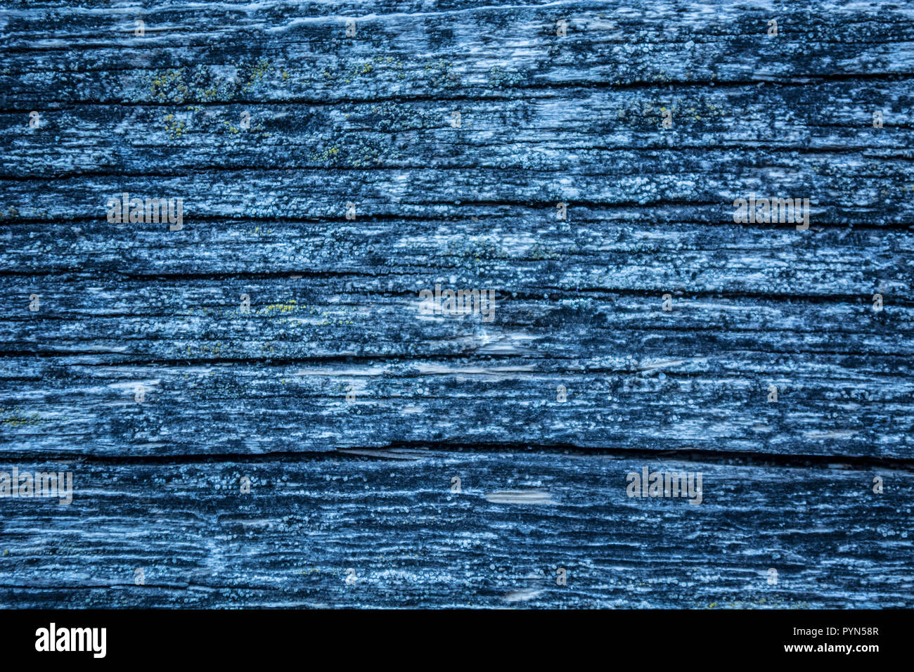 Texturas de madera vieja realista azul Foto de stock