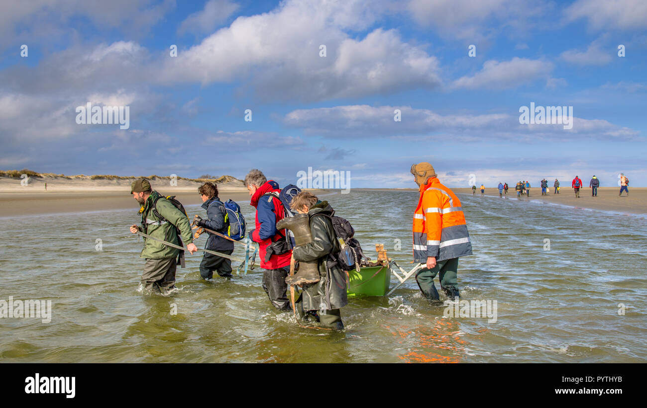 ROTTUMERPLAAT, Holanda - 6 Marzo: expedición de Investigación de Suelo cruzar el canal de marea en Rottumerplaat reserva natural protegida de la isla, en marzo Foto de stock