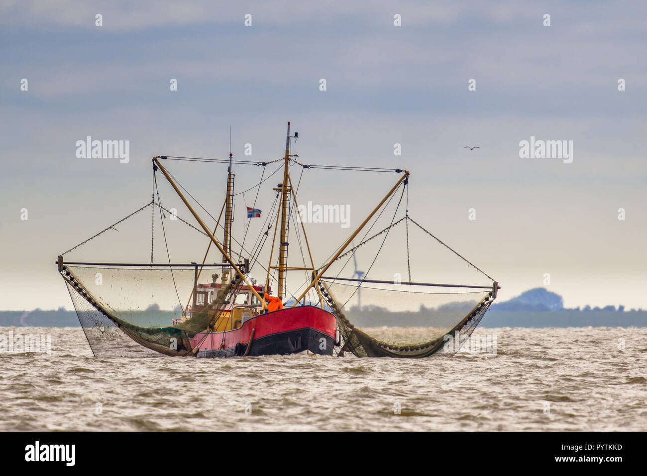 La pesca de camarones cutter buque en el mar de Wadden holandés Foto de stock