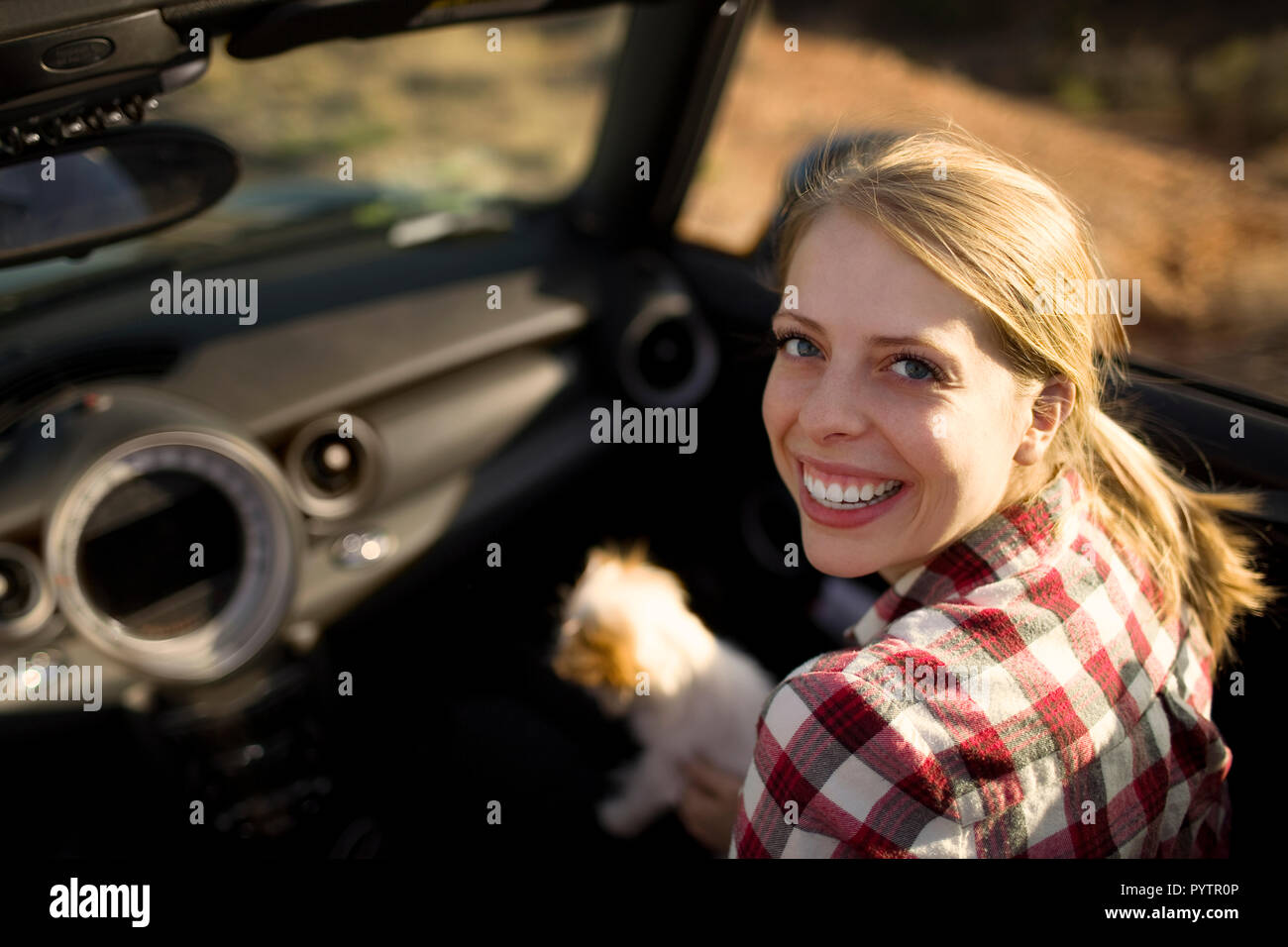 Retrato de una sonriente joven mujer sentada en el asiento del pasajero de un automóvil convertible con su pequeño perro. Foto de stock