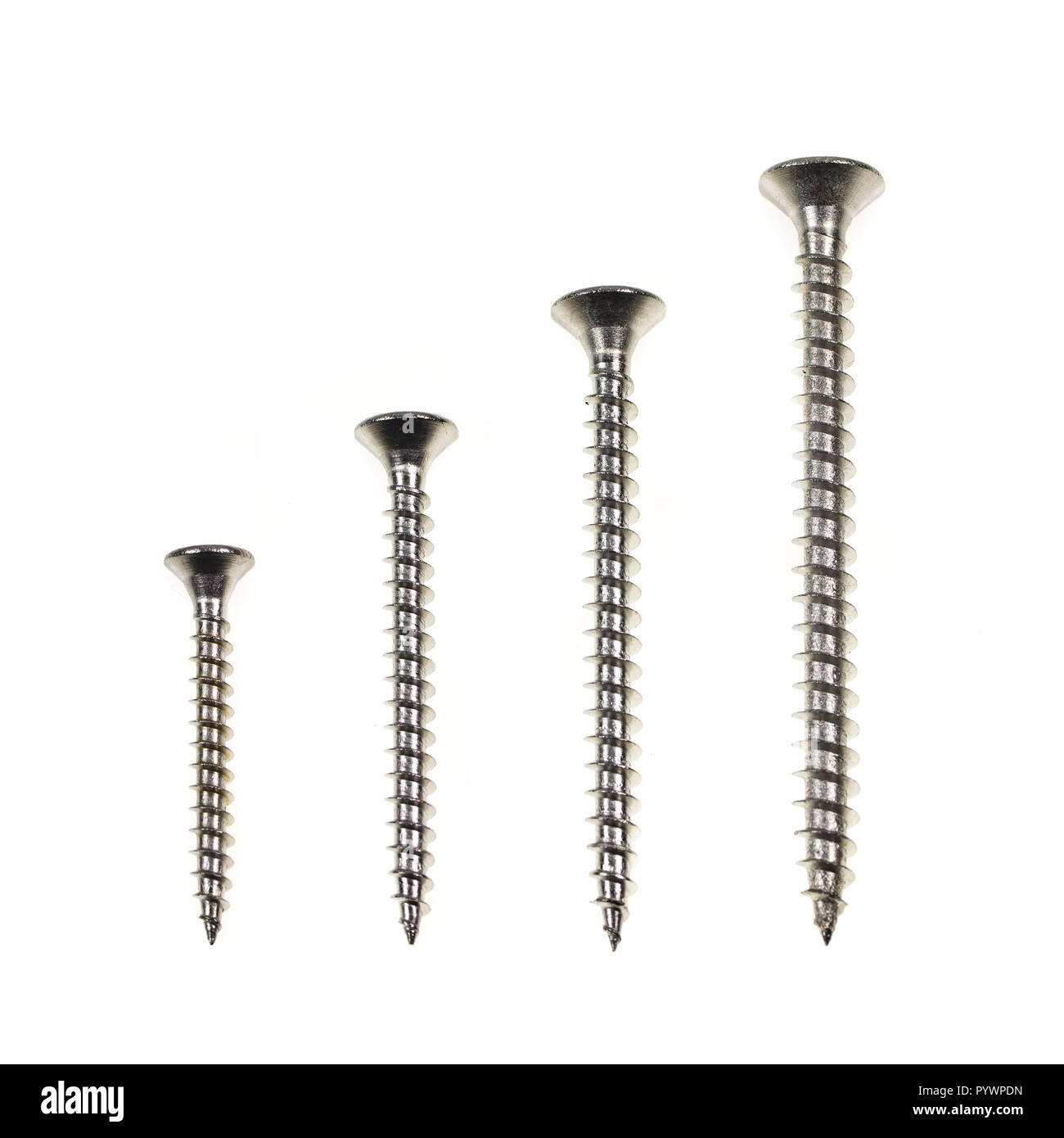 Diferentes tamaños de Acero Inoxidable tornillos para madera en una fila  sobre fondo blanco Fotografía de stock - Alamy