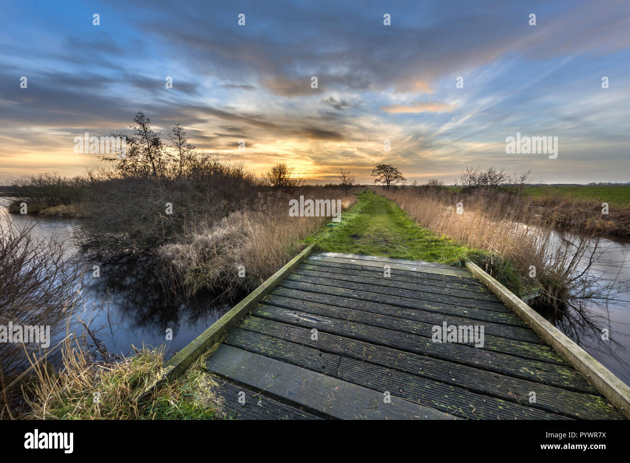 Una pista de caminata con puente a través del paisaje invernal marrón en holandés de humedales Deelen, Heerenveen Foto de stock