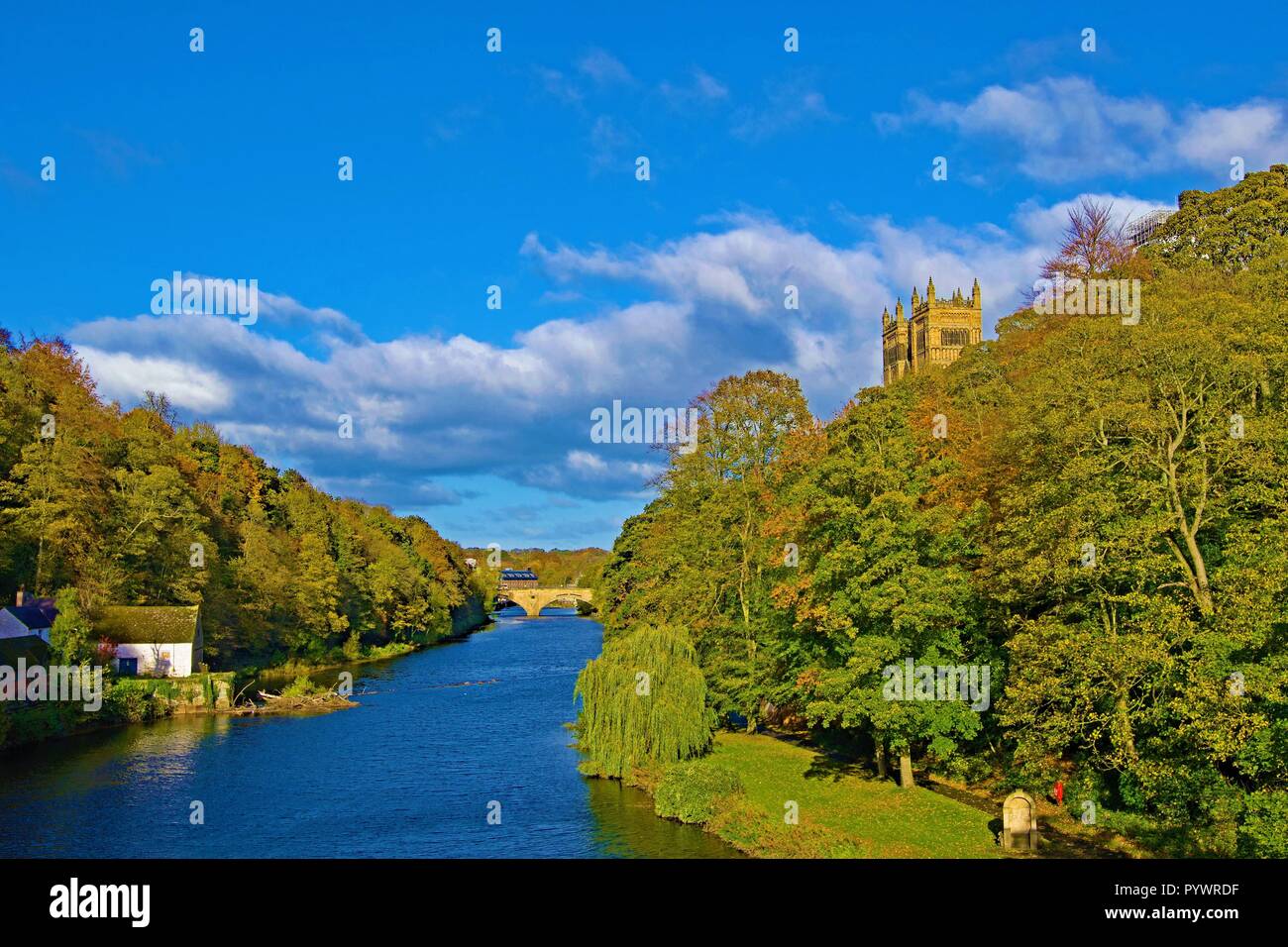 Un cielo azul perfecto día por el río, con vistas a la catedral de Durham y la Casa de la vieja escuela. Foto de stock
