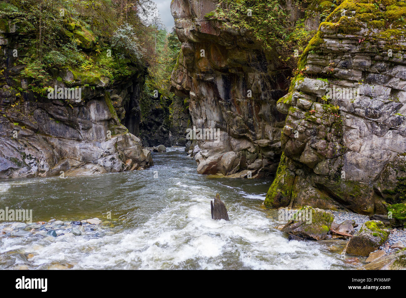 Coquihalla río que fluye hacia el cañón en el Parque Provincial Coquihalla Canyon, cerca de esperanza, British Columbia, Canadá. Foto de stock
