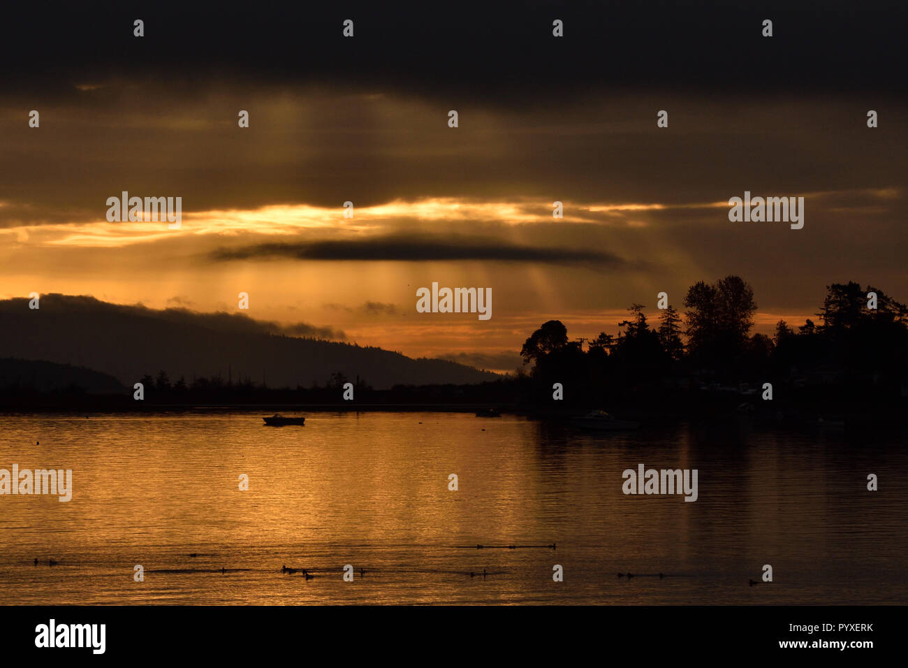 Un amanecer de oro en el sur de la isla de Vancouver. Foto de stock
