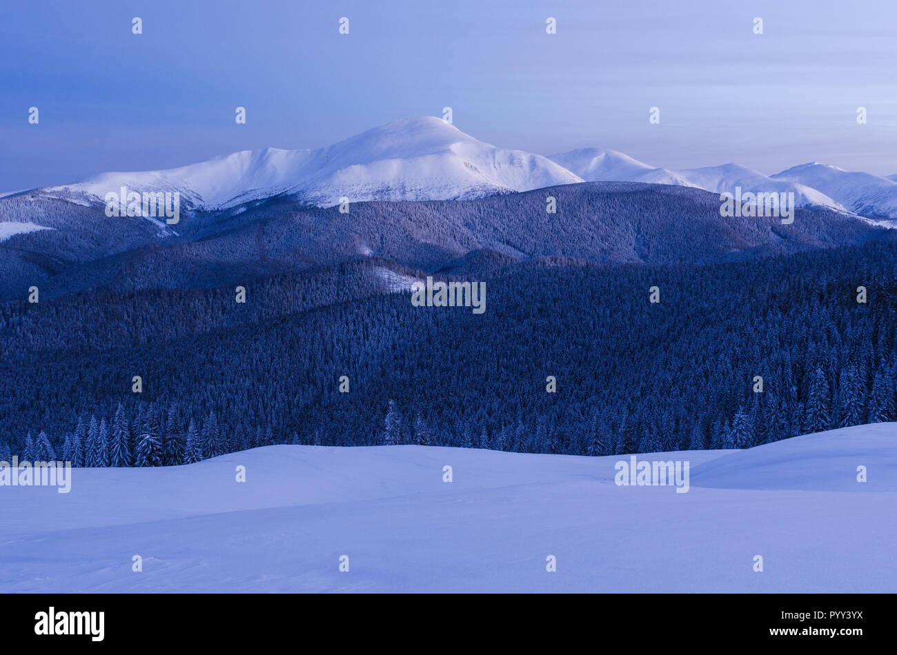 Vista de la montaña. Paisaje invernal negruzcas. Spruce Forest y Ridge en la nieve. Foto de stock