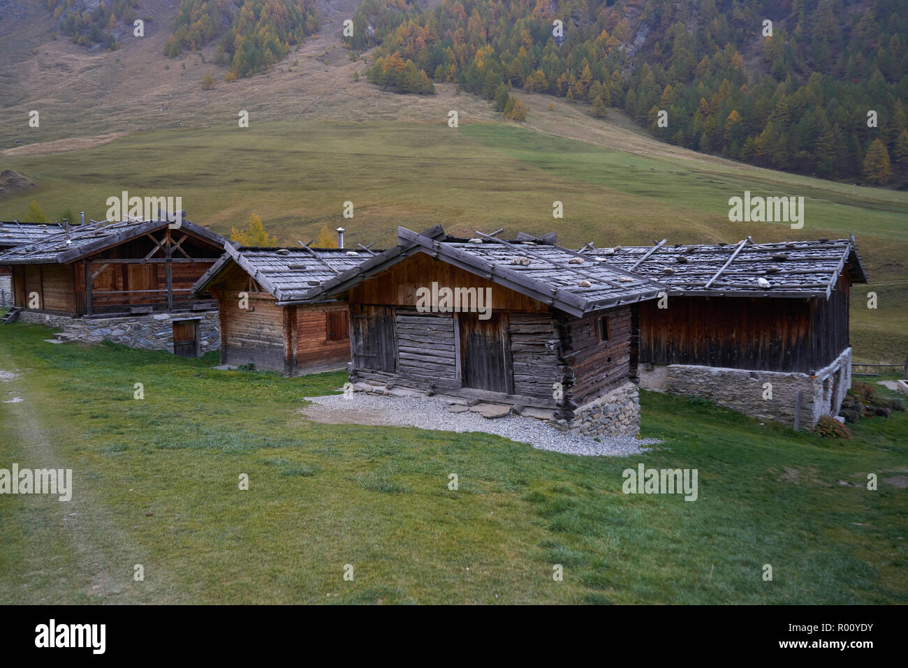 Fane Alm con Pfundigerer montañas, Tirol del Sur, Italia Foto de stock