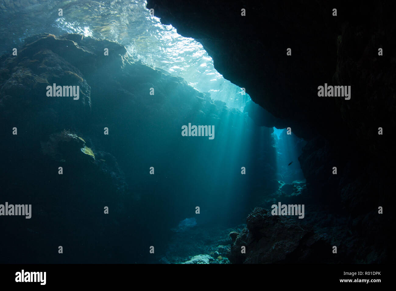 Los haces de luz brillante introduzca una caverna submarina en las Islas Salomón. Los arrecifes de coral de esta zona están plagadas por sumergidas, cañones, grutas y cavernas. Foto de stock